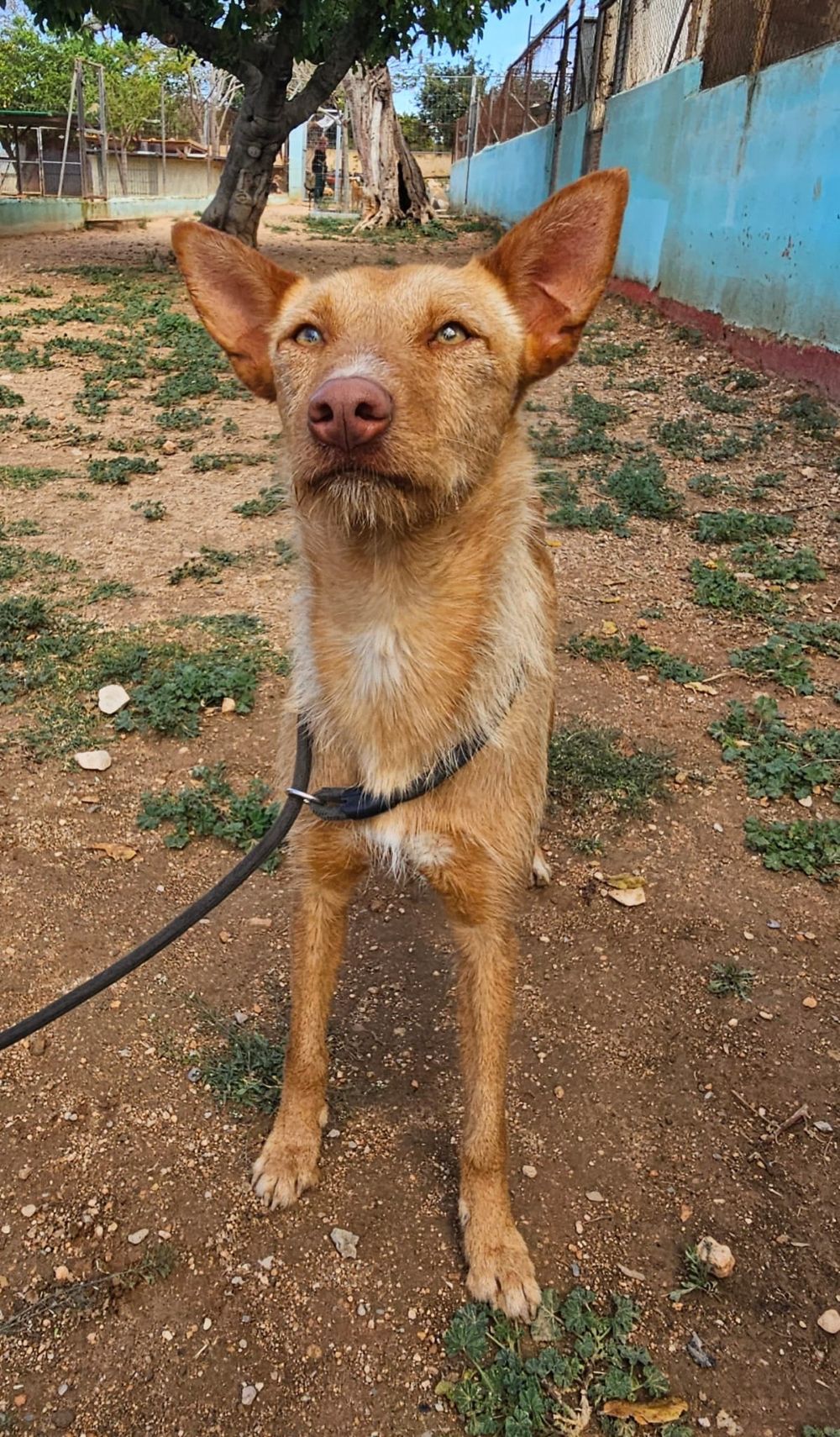 Winnie_2.jpg