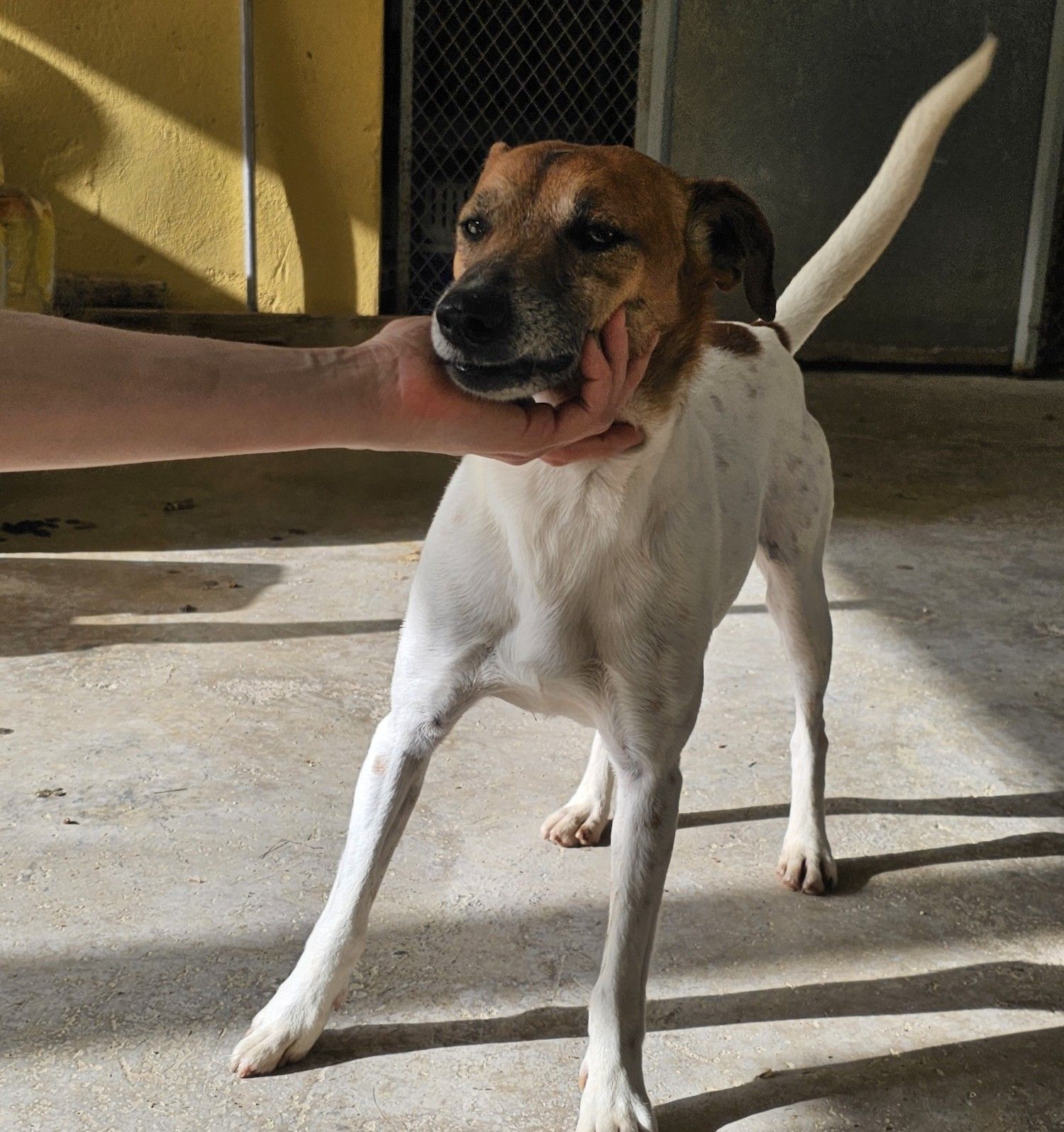 Platon8_062026.jpg