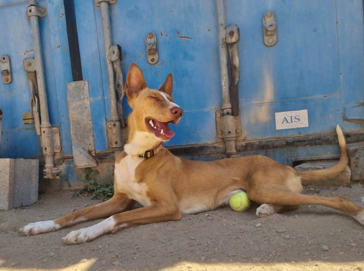 Chance1_062026.jpg